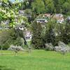 Отель Ferienwohnung im Dettenbachtal, фото 5