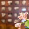 Отель Den's Hotel Yonezawa, фото 7