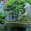 Отель Qingchengshan Weishui Memory Hot Spring Homestay (Qingcheng Houshan Tai'an Ancient Town Branch), фото 14