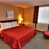 Отель Comfort Inn - Pocono Mountains, фото 40