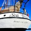 Отель 6-night cruise in the Seychelles aboard Sea Pearl - Silhouette Cruises, фото 12