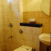 Отель Golden Swan, фото 9