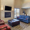 Отель Comfort Inn & Suites, фото 3