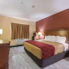 Отель Econo Lodge Inn & Suites Little Rock SW, фото 25