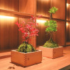 Отель Awazu-Spa Tourist Hotel Kitahachi, фото 2