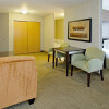 Отель Holiday Inn Express & Suites Canyonville, фото 6