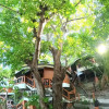 Отель The Hideaway Pariya Haad Yuan Ko Pha-ngan, фото 21