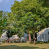 Отель Ranthambore Tiger Resort by Park Tree, фото 16
