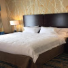 Отель Hampton Inn & Suites Stroudsburg Pocono Mountains, фото 6