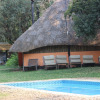 Отель Ndhovu Safari Lodge - Campground, фото 14