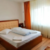 Отель Pensiunea Mila 2, фото 1