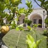 Отель Masseria Bosco, фото 14