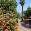 Отель Casa Delle Palme Giarre Sicilia A 3 Km Dal Mare, фото 4