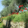 Отель Agriturismo BellaVita, фото 2