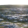 Отель Burren Way 02, фото 4