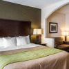 Отель Comfort Inn & Suites, фото 3