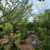 Отель Labuana Homestay & Cafe Garden, фото 11