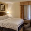 Отель Comfort Inn & Suites, фото 3