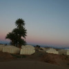 Отель Zagora Desert Camp, фото 12