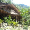 Отель Back to Nature Ecotourism, фото 21