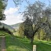 Отель Ferienwohnung im Dettenbachtal, фото 18