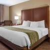 Отель Comfort Inn Okemos - East Lansing, фото 21