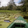 Отель Amazonia Jungle Hotel, фото 49