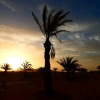 Отель Haven Dunes Camp, фото 12
