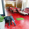 Отель Gloriya Mathews Family Guest House, фото 12