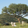 Отель Madikwe Hills Private Game Lodge, фото 31