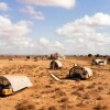 Отель Amanya Camp1-bed King Lion Tent in Amboseli NP, фото 10