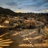 Отель High View Haven - Hot Tub, Fire Pit & Bbq In Joshua Tree! 4 Bedroom Home by RedAwning, фото 15