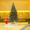 Отель Wanteng Zhouji Hotel, фото 9