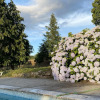 Отель Villa with 6 Bedrooms in Mogadouro, with Private Pool, Terrace And Wifi, фото 15