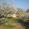 Отель Casa Rural Mirador Los Cotos, фото 16