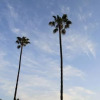 Отель San Diego KOA, фото 5