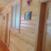 Отель Pensiunea Rodica Si Tinu, фото 7