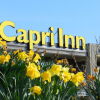 Отель Capri Inn в Сент-Катаринзе
