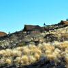 Отель Namib's Valley Lodge, фото 29