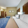 Отель Comfort Inn & Suites Deadwood, фото 3