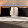 Отель NEW Business Studio near Intercontinental Hotel - Homey Residence, фото 1