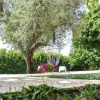 Отель Villa Calipso, фото 41