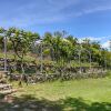 Отель Holiday Home with Shared Swimming Pool in the Green Hills of Chianti, фото 24