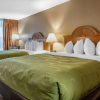 Отель Comfort Inn, фото 3