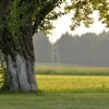 Отель Gasthof Neuwirt, фото 9