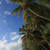 Отель Playa Grande Lodge, фото 19