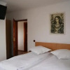 Отель Pensiunea Bujorul, фото 4