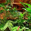 Отель Arenal Rustic Lodge, фото 21