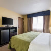Отель Comfort Suites Delavan - Lake Geneva Area, фото 3