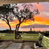 Отель Terraced houses in a quiet seafront area with panoramic views.-Colibrì 2, фото 33